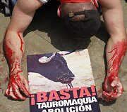 Gyvūnų teisių aktyvistų protesto akimirka