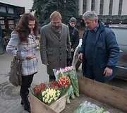 Tulpės &ndash; populiariausios gėlės kovo 8-ąją