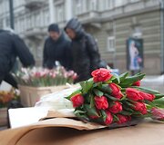 Tulpės &ndash; populiariausios gėlės kovo 8-ąją