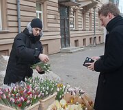 Tulpės &ndash; populiariausios gėlės kovo 8-ąją