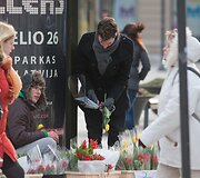 Tulpės &ndash; populiariausios gėlės kovo 8-ąją