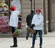 Tulpės &ndash; populiariausios gėlės kovo 8-ąją