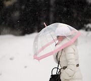 Moteris nuo sniego slepiasi po permatomu skėčiu.
