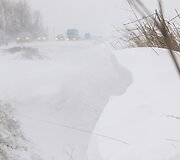 Pūga Prancūzijoje