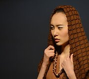 Modelis