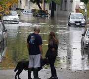Pora su &scaron;unimi prie apsemtos gatvės
