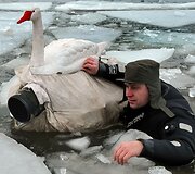 Fotografas Henrykas Janowski