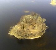 Potvynis pamaryje