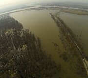 Potvynis pamaryje