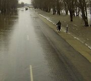 Potvynis pamaryje