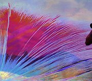 Žurnalistas fotografuoja Argentinos menininko Tomaso Saraceno pripučiamą skulptūra pavadinimu &bdquo;Poetic Cosmos of the Breath&ldquo;