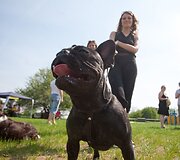 &bdquo;Toto fiesta&ldquo; Karolini&scaron;kėse 