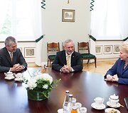 Dalia Grybauskaitė susitiko su Werneriu Hoyeriu
