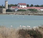 Eimučio Kvo&scaron;čiausko atostogų akimirka Sardinijoje 