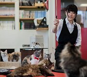 &bdquo;Kyariko&ldquo; kavinė Tokijuje