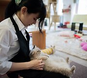 &bdquo;Kyariko&ldquo; kavinė Tokijuje