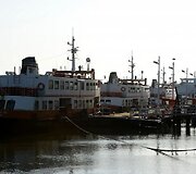 Pi&scaron;vartuoti keltai