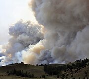 Mi&scaron;kų gaisras