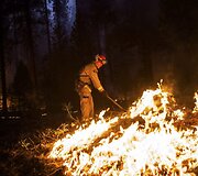 Mi&scaron;kų gaisras Kalifornijoje