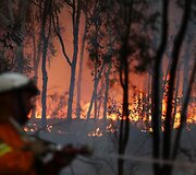 Krūmynų gaisras Australijoje