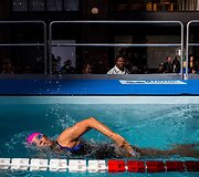 Diana Nyad 