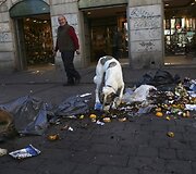 &Scaron;iuk&scaron;lės Madride