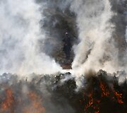 Afganistane deginamos narkotinės medžiagos