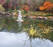 Rudens spalvos