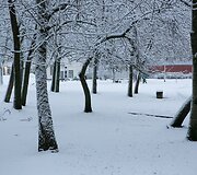 Sniegas užpylė Vilnių