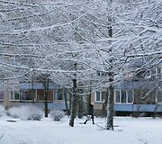 Sniegas užpylė Vilnių
