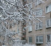 Sniegas užpylė Vilnių