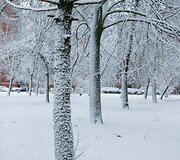 Sniegas užpylė Vilnių