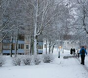 Sniegas užpylė Vilnių