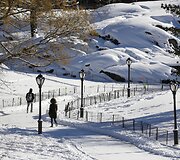 Sniegas Niujorko centriniame parke