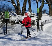 Niujorko centriniame parke slidinėjanti moteris