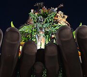 Rio de Žaneiro karnavalo paradas