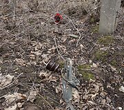 Gardamo seniūnijoje žuvo elektrikas