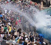 Orkų pasirodymas San Diego &bdquo;SeaWorld&ldquo; parke