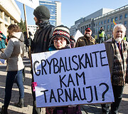 Mitingas Nepriklausomybės aik&scaron;tėje
