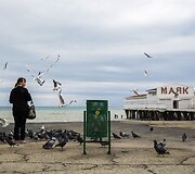 Moteris lesina pauk&scaron;čius prie Juodosios jūros, Alu&scaron;tos kurorte