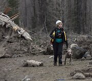 Žemės nuo&scaron;liaužos padariniai Va&scaron;ingtono valstijoje