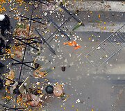 Protestas Briuselyje 