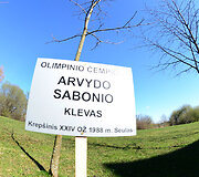 Laura Asadauskaitė sodino ąžuolą olimpiečių alėjoje