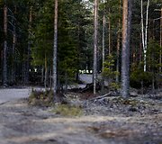 Suomijoje sudužo para&scaron;iutininkus skraidinęs lėktuvas 