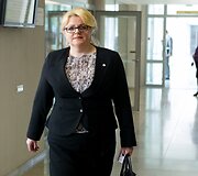 Premjeras Algirdas Butkevičius pristatė Vyriausybės metinę ataskaitą.