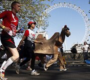 Londono maratonas