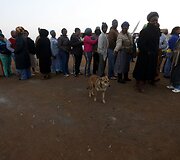 Parlamento rinkimai Pietų Afrikos Respublikoje