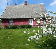Pavasaris Mingėje