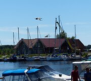 Pramogos ant vandens