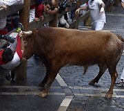 San Fermino festivalyje keli žmonės pajuto buliaus įnir&scaron;į.